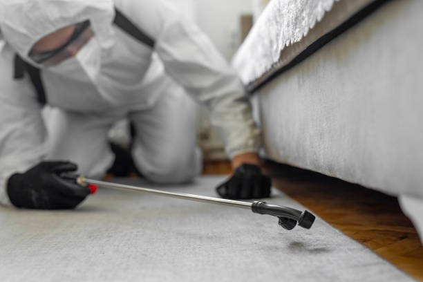 Professional Termite Control technician working in Cave Spring, VA