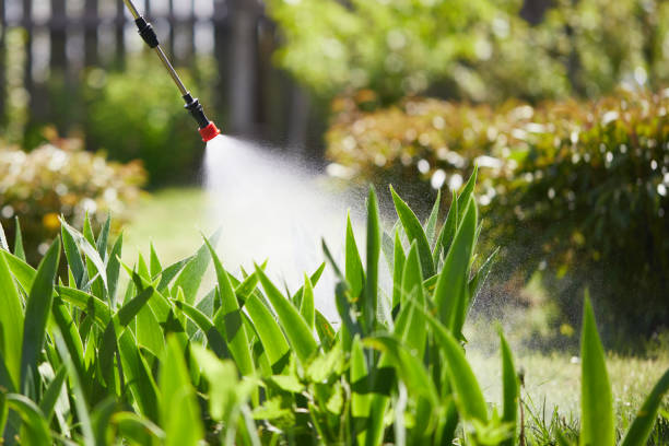 24/7 Emergency Termite Control experts in Cave Spring, VA