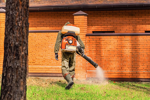 Top rated local Termite Control specialists in Cave Spring, VA